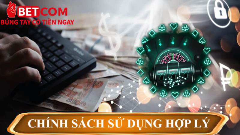 chính sách sử dụng hợp lý